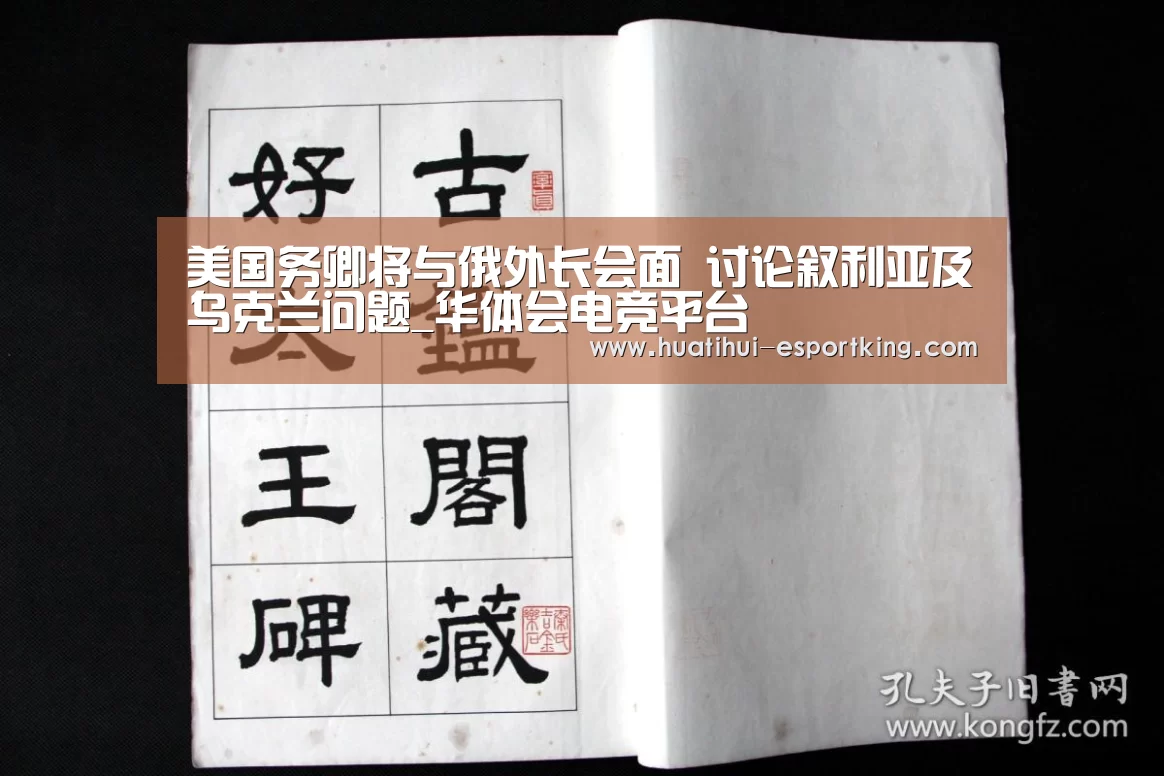 美国务卿将与俄外长会面 讨论叙利亚及乌克兰问题_华体会电竞平台(图1) 华体会电竞平台