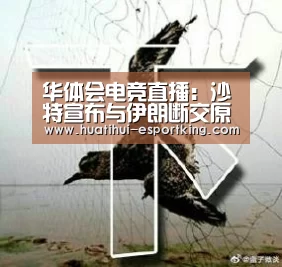 华体会电竞直播:沙特宣布与伊朗断交原因曝光 美国呼吁各方保持冷静(图2) 华体会电竞直播